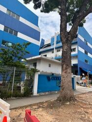 woodlands-bizhub photo thumbnail #17